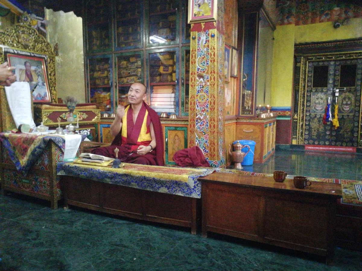 Rhodiola Crenulata, wir kommen