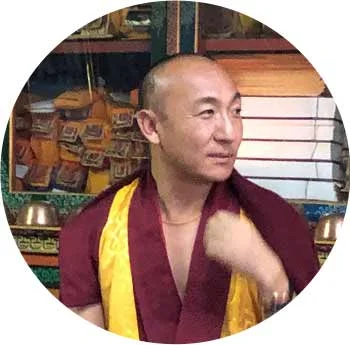 Rhodiola Crenulata, wir kommen