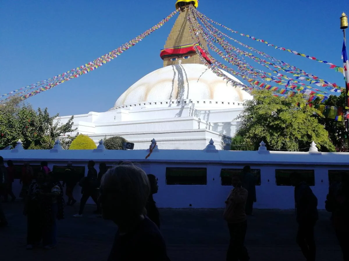 Lampenbaum beim Lichterfest