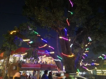 Lampenbaum beim Lichterfest