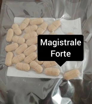 Magistrale Forte