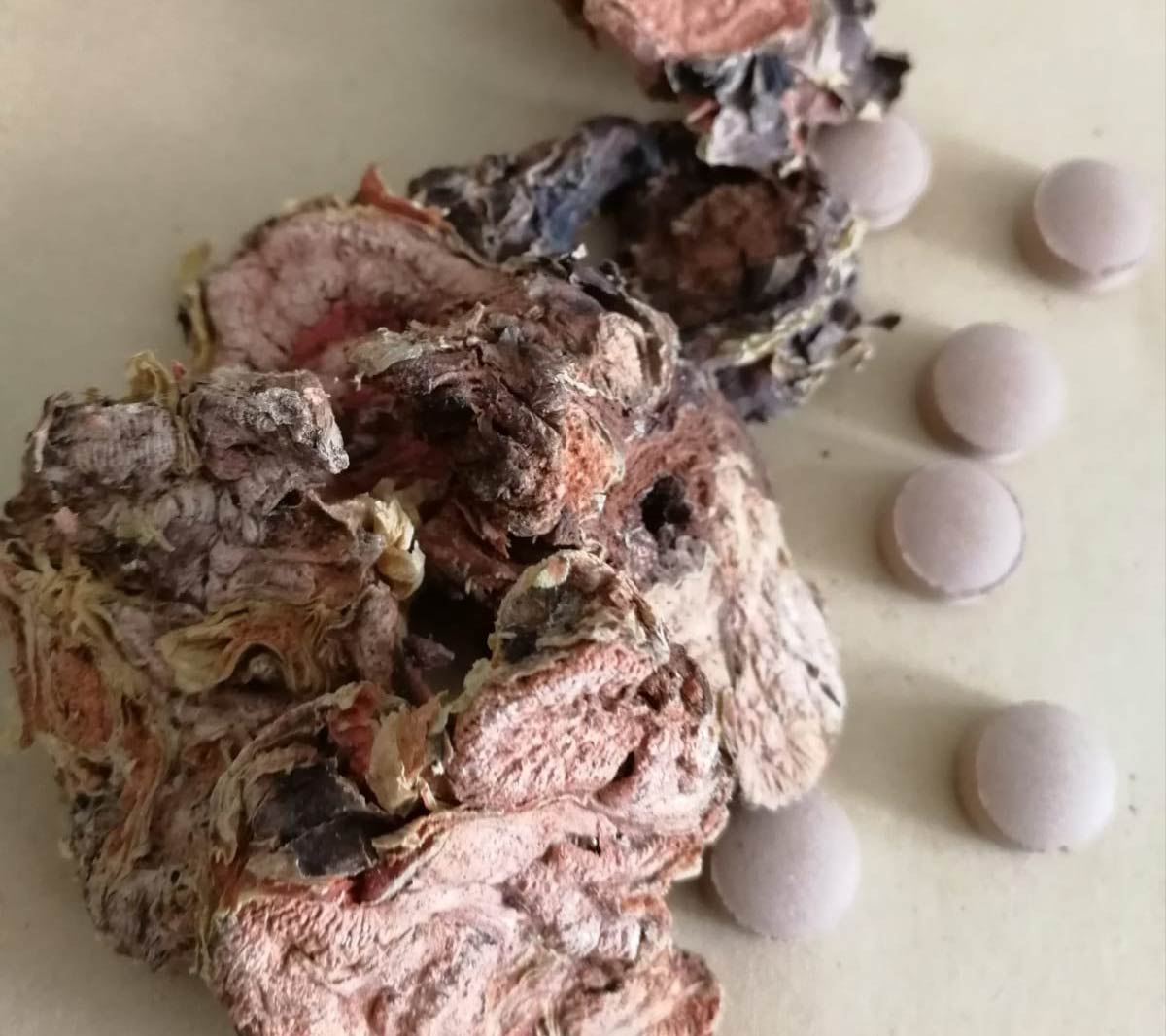 Granuliert, pulverisiert und tablettiert. So sieht der Pressling von Rhodiola Crenulata aus​